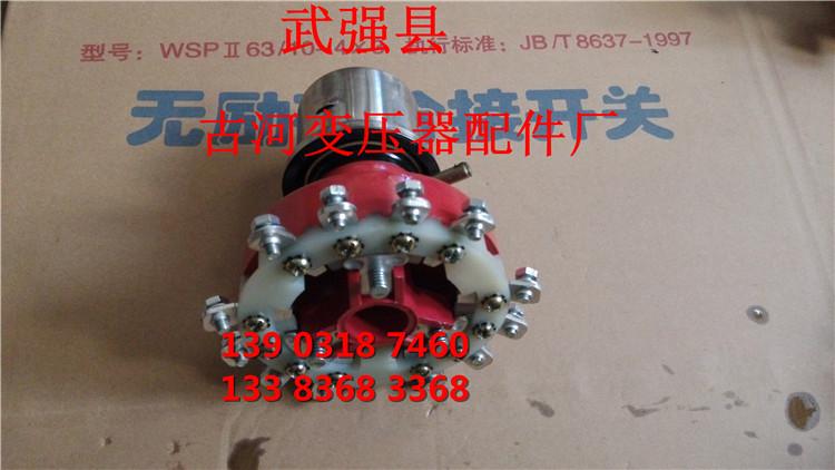 供應(yīng)無勵磁分接開關(guān)WSPIII250/10-5×5