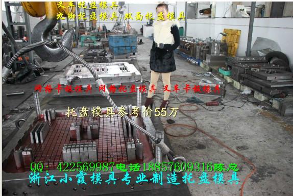 供應(yīng)黃巖模具田子注塑托盤(pán)模具應(yīng)