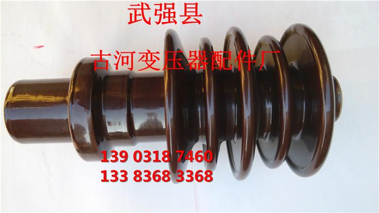 供應(yīng)BLQ-20/315高壓套管