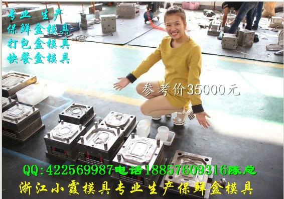 供應(yīng)小霞模具1000ml保鮮盒模具