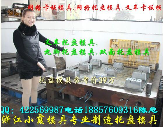 供應(yīng)小霞模具塑料網(wǎng)格托盤模具