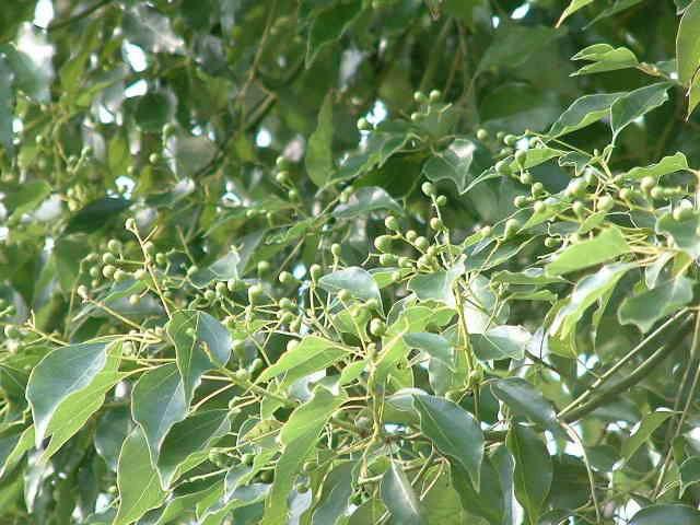 供應醫(yī)用*油廠家價格，醫(yī)用*油廠家報價是多少，醫(yī)用*油廠家報價