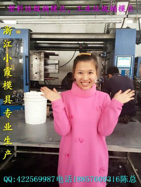 供應(yīng)塑料模塑膠垃圾桶模具