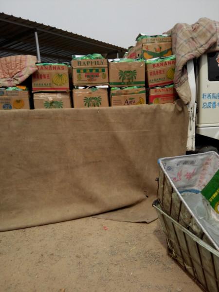 供應(yīng)西葫蘆   西葫蘆價(jià)格  山東西葫蘆批發(fā)供應(yīng)基地