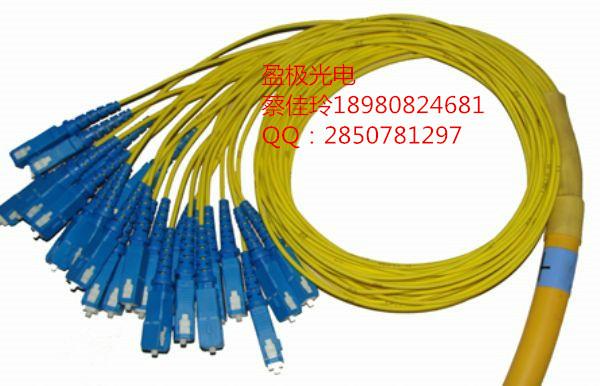 供应FC12芯束状单模光纤跳线