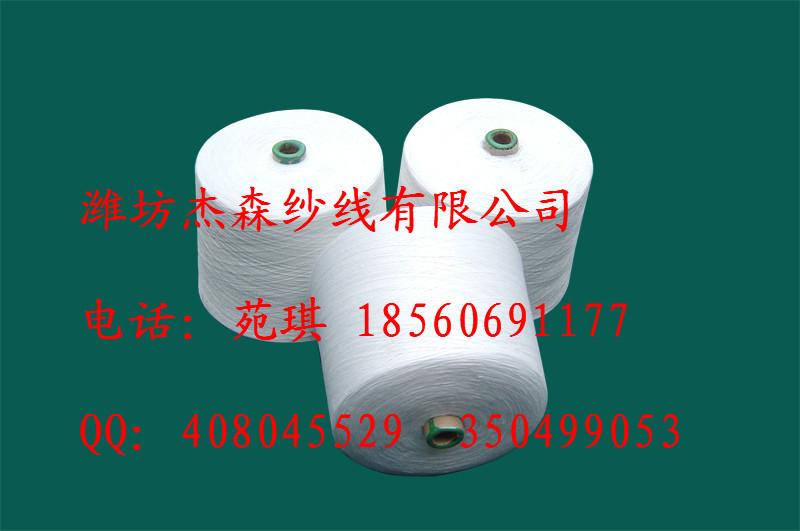 供應(yīng)廠家環(huán)錠紡人棉紗30支粘膠紗30支