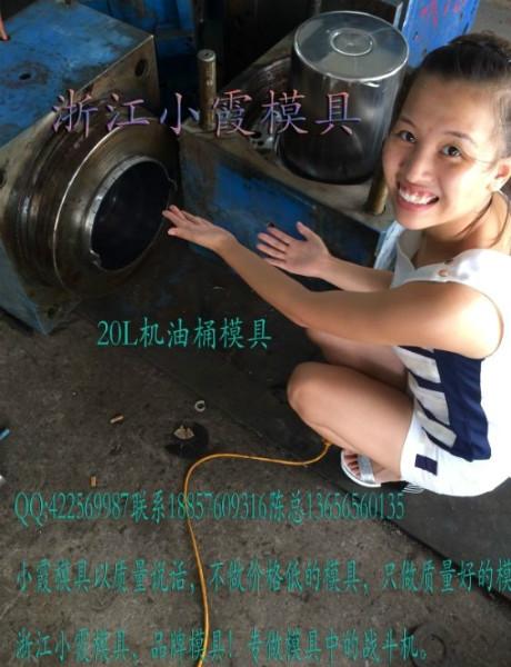 供應注射模具15L潤滑油桶塑料模具