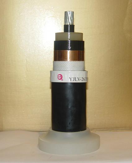 供應(yīng)上海浦東電纜船用電線