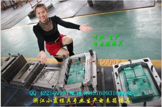 塑膠模具圖片/塑膠模具樣板圖 (2)