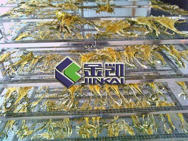 供應(yīng)金凱熱泵烘干機(jī)火龍果花熱泵干機(jī)