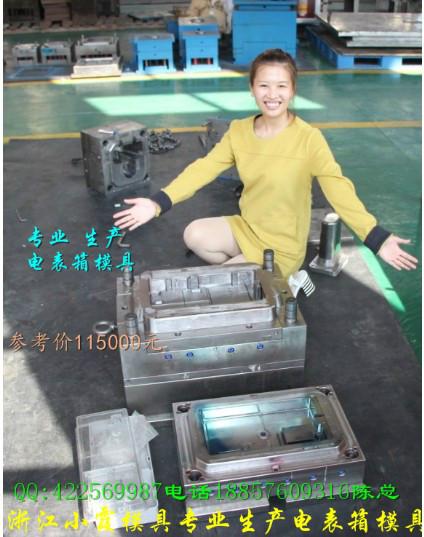 供應(yīng)18表位塑料電表箱模具制造生產(chǎn)