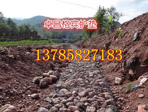 雷諾護(hù)墊圖片/雷諾護(hù)墊樣板圖 (3)