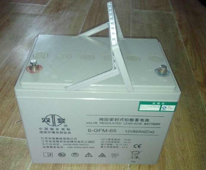 UPS電力專用雙登蓄電池圖片