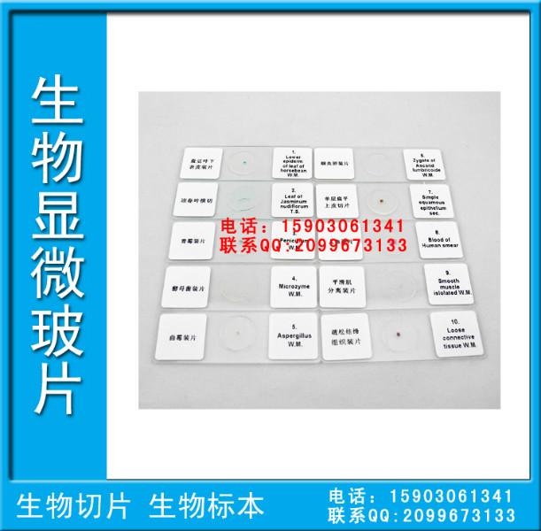 供应生物显微玻片生物切片厂家直销应