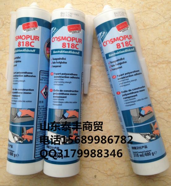 德國衛(wèi)仕818c圖片