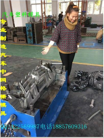 供應中國塑料模具汽車注塑車燈模具