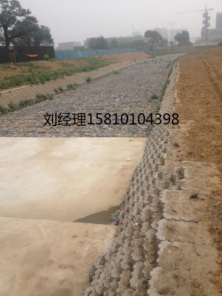 供應(yīng)WE植生滲濾砌塊1WE生態(tài)磚WE植生滲濾砌塊 WE生態(tài)磚