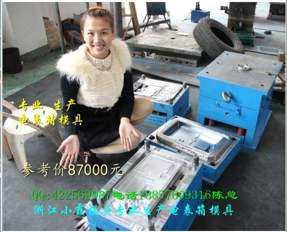 供應(yīng)浙江注射模具13表位電表箱塑料模具