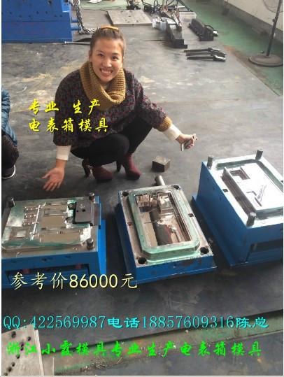 塑料電表箱模具圖片/塑料電表箱模具樣板圖 (4)