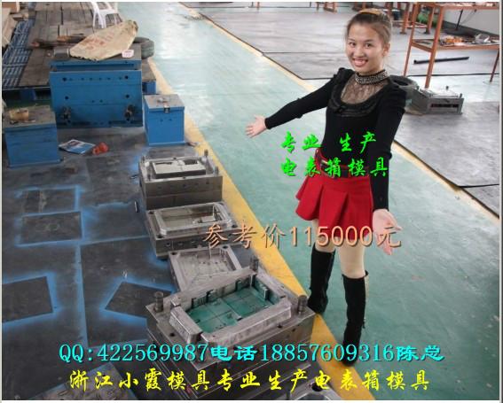 塑料電表箱模具圖片/塑料電表箱模具樣板圖 (3)