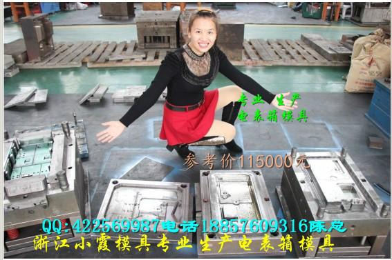 供應(yīng)浙江注射模具13表位電表箱塑料模具