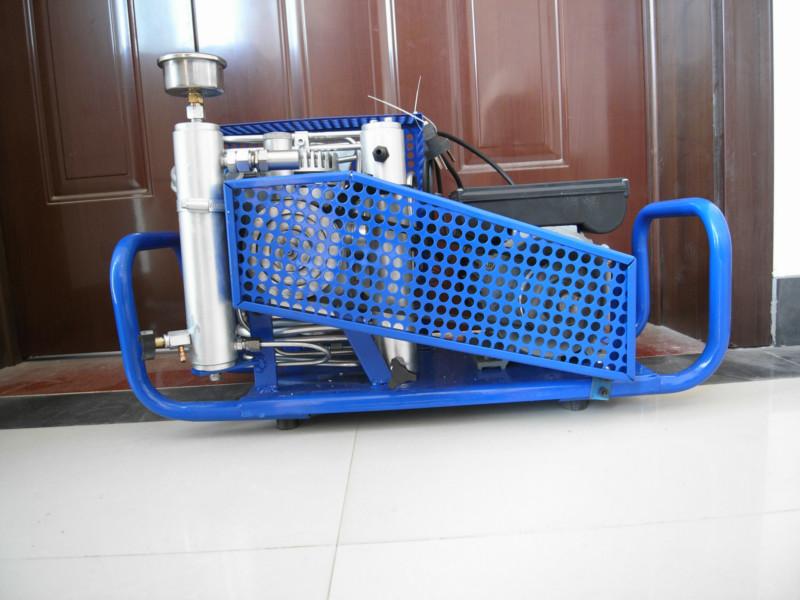 SVGC100國產(chǎn)高壓充填泵圖片