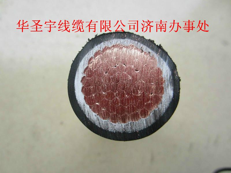 電纜ZRYJV1x300圖片