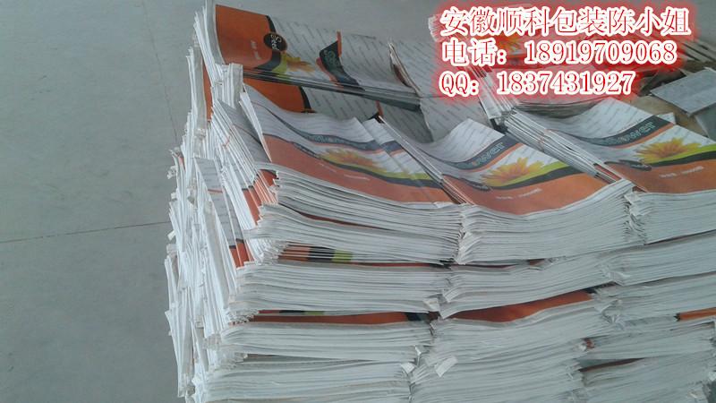 葵花籽圖片/葵花籽樣板圖 (2)