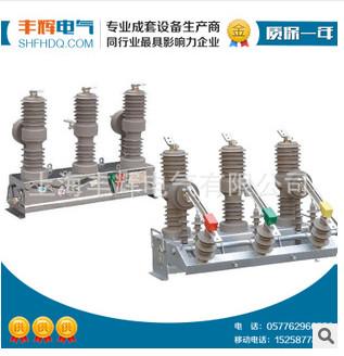 ZW32-12/T户外高压真空断路器图片