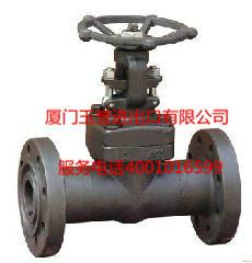 供應(yīng)電站閥門，