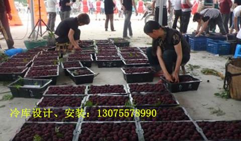 合肥/淮南市/淮北市食品冷庫(kù)安裝圖片