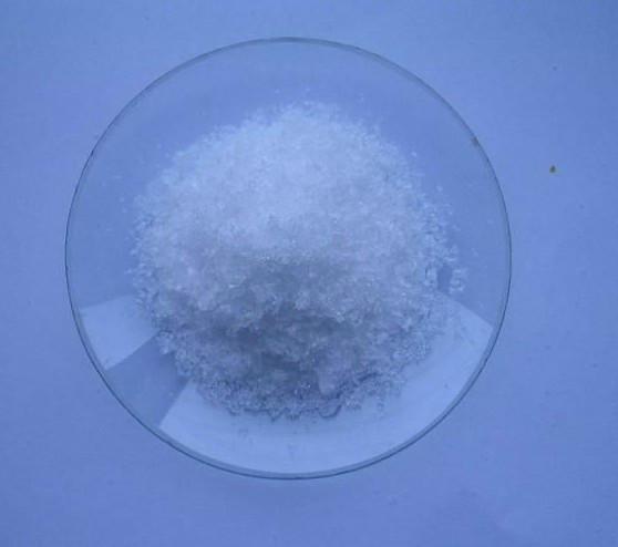 南箭牌-抗生素-氨芐青霉素圖片