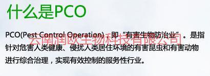 供應(yīng)官渡區(qū)企業(yè)單位滅鼠哪家公司-官渡區(qū)企業(yè)單位滅鼠哪家公司效果好-官渡區(qū)企業(yè)單位滅鼠哪家公司價(jià)格低-電話多少