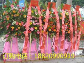 供應(yīng)深圳福田區(qū)開業(yè)花籃哪里買，商場開業(yè)花籃大全