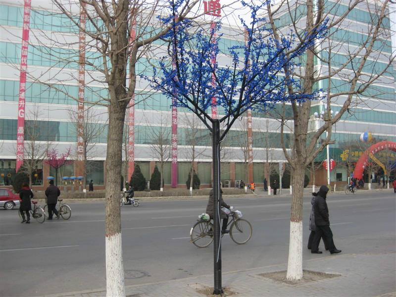 植樹(shù)燈戶(hù)外圖片/植樹(shù)燈戶(hù)外樣板圖 (3)
