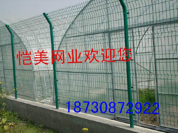 武漢護(hù)欄網(wǎng)圖片/武漢護(hù)欄網(wǎng)樣板圖 (3)