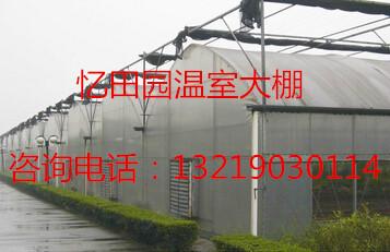 供应连栋大棚建造/用于蔬菜养殖大棚  连栋大棚热镀锌骨架包安装图片