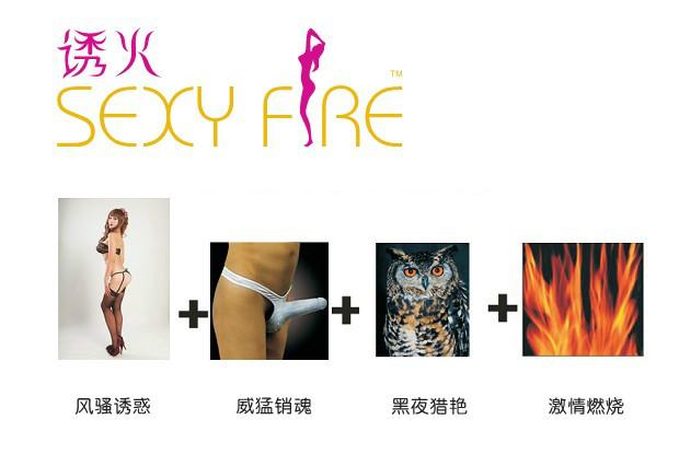 時尚內(nèi)衣服飾形象標(biāo)志VI設(shè)計圖片